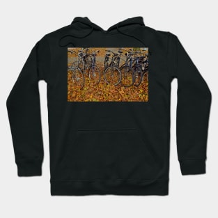 Bicycles in Autumn Amsterdam Hoodie